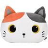I-TOTAL® - Cuscini Decorativi Piatti a Forma di Animale - Comodi e Adorabili (ORANGE CAT)