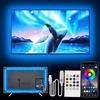 PSTAR Retroilluminazione LED TV 1M, strisce LED per TV da 32-50 pollici, striscia LED USB con sincronizzazione musicale, retroilluminazione TV RGB Bluetooth APP e telecomando