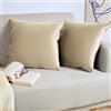 Blumtal Set di 2 Federe Cuscini Divano 45x45 cm in Velluto, con Chiusura Lampo Invisibile, Eleganti Copricuscini Divano in Morbido Velluto,Taglia 45 x 45, Sabbia