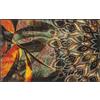 Wash+Dry Jungle Dance - Zerbino 75 x 120 cm, lavabile per interni ed esterni, colore: Multicolore