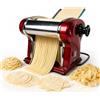 SHILINTONG Macchina per Pasta Elettrica SHILINTONG - Macchina per Fare la Pasta Fresca con Doppia Lama in Acciaio Inossidabile - 1.5mm (Tonda) e 4mm (Piatta) - Per Uso Domestico e Commerciale