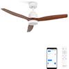CREATE / WINDSTYLANCE NATURAL WOOD/Ventilatore da soffitto con luce bianco pale legno scuro con Wifi e telecomando / 40W, Temporizzatore, Ø132 cm, 6 velocità, estate-inverno, doppia altezza