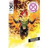 Panini 100% Marvel