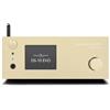 Gold Note DS-10 EVO oro