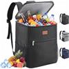 Lifewit Zaino Termico 24L (30 Lattine), Borsa Frigo Portatile con Scomparto, Grande Borse Termica Porta Pranzo per Uomo e Donna, Cooler Bag per Mare, Spiaggia, Viaggio, Nero