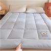 HLTQL Futon Pieghevole Una Piazza E Mezza Topper Materasso Matrimoniale Materasso da Pavimento Arrotolabile (Facile da Riporre)(4,120x200cm*2kg)