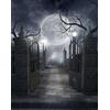 Ci-Fotto Sfondo di Halloween (WS104)