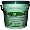 ICOBIT GUAINA IMPERMEABILIZZANTE LIQUIDA A BASA ACQUOSA ROSSA KG. 1