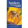 Dr. Sebastian Alejandro Echeverri Spiders of the United States (Anello, filo)