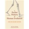 Silvana Condemi François Savatie A Pocket History of Human Evolutio (Tascabile)