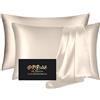 DKBslik Set di 2 federe standard in seta di gelso, morbide, anti-acne e salutari, per un sonno meraviglioso, entrambi i lati, in raso di seta naturale, da donna, confezione da 2 pezzi, con cerniera, colore: