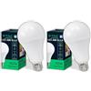 V-TAC Lampadina LED A80 con Attacco E27 20W (Equivalenti a 150W) - 2452 Lumen - Lampadine LED con Massima Efficienza e Risparmio Energetico - Luce Bianca Naturale 4000K (Confezione da 2)