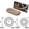 PBR KTM SX MOTOCROSS 150 2018-2022 catena Oro Gold kit 520 PBR EK1950GOLD
