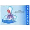 Maven Pharma Bromacetil 15 Compresse Effervescenti - Integratore Per Le Vie Respiratorie