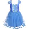 Lito Angels Children's Apparel Lito Angels Vestito Costume Principessa Blu per Bambina, Abito Casual Estivo Gonna in Tulle, Taglia 3-6 mesi, Blu 107 (Etichetta in Tessuto 60)