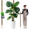 KADAX Monstera - Bastone per piante da appartamento in fibra di cocco (120 cm), asta di cocco e muschio per piante d'appartamento, rampicante e supporto per piante per interni ed esterni