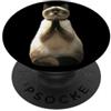 Motivo del gatto birmano per gli amanti Gatto Sacro di Birmania Sacro Gatto Birmano Dolce Gatto PopSockets PopGrip Adesivo