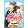 Junjou Romantica #24 | JAPAN BL Comic Book Manga Boys Love