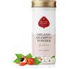 ELIAH SAHIL Organic Powder Shampoo Guarana I Natural Volume and Shine I 100 g Shampoo Powder Approx. 30 x Wash I 100% Organic Certified Natural Cosmetics I Vegan