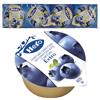 Hero CONFETTURA EXTRA HERO MIRTILLI BLUEBERRY 120 VASCHETTE DA 25 GR MARMELLATA HOTEL