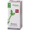 FITOMEDICAL Srl MAGNOLIA OFF GD 50ML