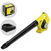Karcher LBL 4 - Soffiatore a batteria per foglie - 36V 5Ah