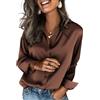 Zeagoo Camicia da Donna Elegant in Raso Maniche Lunghe con Scollo a V Blusa | di Seta Camicetta Basic con Bottoni Unita Maglietta Shirt S-XXL