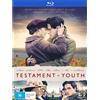 Via Vision Testament of Youth Blu-ray Alicia Vikander, Kit Harington (Blu-ray) James Kent