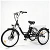 FERCHIX Triciclo elettrico per adulti M300 Batteria rimovibile da 36 V, 18 Ah