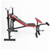FFitness Panca Multifunzione Palestra Casa Addominali Pettorali Glutei Polpacci Dip Station Stazione FLMD758N