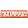 Merkts Protesi complete,Modelli di protesi in resina generali,Denti super resistenti all'usura,Protesi impiallacciate istantanee che coprono i denti mancanti
