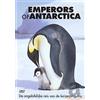 Momento Movies Emperors of Antarctica (DVD) Max Quinn