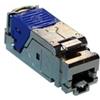 LEGRAND Connettore Legrand RJ45 Cat6 STP 1.75x2.05x4.81cm Grigio metallizzato Blu [LG-033765]