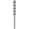 Bosch 1x Punta per martelli PRO SDS max-4 (per Calcestruzzo armato, Blocco in calcestruzzo, Ø 32,00 mm, Professional Accessorio Martello perforatore)