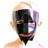 The Mobile Homes Trigger (CD) Album