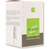 OTI ZINCO Plus 60 Cps 500mg OTI - OTI - 939571574