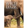 Light Productions Wild Daze (DVD) Albert Maritz Jane Goodall Keith David