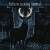 Pattern-Seeking Animals Only Passing Through (Vinyl LP) 12" Album with CD