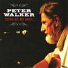 Peter Walker Echo of My Soul (CD) Album