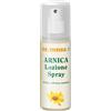 DR. THEISS DR THEISS ARNICA SPRAY 100 ML