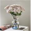 JSPYFITS Vasi moderni in vetro idroponico, vaso di vetro a tulipani per fiori, vaso in vetro a tre strati per decorazione, vaso geometrico in vetro per casa, ufficio, matrimonio, festa (trasparente