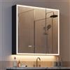 WOLTU Specchio Bagno Contenitore LED, Lega alluminio+Vetro temperato | LED dimmerabile, antiappannamento, ripiani regolabili, lente 3x, multipresa, nero, 70x14x75cm