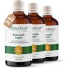 BitterKraft! Gocce di amare biologiche originali, 3 x 100 ml, secondo Hildegard von Bingen, 9 erbe amare selezionate, favoriscono la digestione, gocce di bitto ad alto dosaggio, 100% naturale, vegano