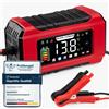 HAUSPROFI Carica Batteria per Auto 12V 15A/24V 8A Intelligente Mantenitore | Ric