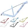 LongTing Kit Portapacchi Fisso for Telaio Mountain Bike MTB 29er Freno a Disco da 19 Pollici