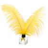 PATIKIL 30 Pz Piume Struzzo Naturali 12-14 Pollici 30-35 cm Giallo | Grandi Piume Struzzo, per Artigianato Decorazione Casa Matrimonio Festa Vaso Decorativo