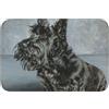 FUkker Simpatico cane Scottish Terrier nero art, Zerbino, zerbino antiscivolo per interni, zerbino per esterni, tappeto per patio, zerbino con orlo 40x60 cm per cucina