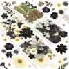 Resiners Fiori Secchi, Resiners 100 Pezzi Nero Fiori Pressati per Resina, Sapone, Candele, Scrapbooking & Biglietti - Set di Fiori e Foglie Naturali Essiccati per Fai-da-te, Artigianato & Decorazioni