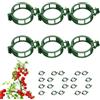 Generic Clip per piante di sostegno, morsetti riutilizzabili, 100 pezzi, supporto stabile con funzione stelo, materiale ABS con vaso da fiori da balcone, clip da giardino per esterni, decorazione per interni