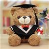 FGen Orsacchiotto per la Laurea, Orsacchiotto Peluche, Orsetto di Peluche, Regali Laurea, Orso di Peluche con Diploma e Cappello di Dottore, per Scuola Laurea Decoro (Bruno, collo bianco)
